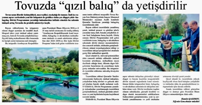 Xalq qəzeti.jpg