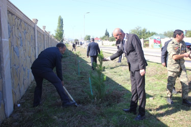 Tovuzda “27 Sentyabr - Anım Günü”nə həsr edilən ağacəkmə aksiyası keçirilib