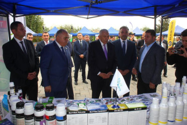 Tovuzda Aqrar Biznes Festivalı və Toxum Sərgi-Satış Yarmarkası keçirilib