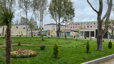 Tovuz şəhəri ərazisində yerləşən  parklarda yenidənqurma işləri aparılır