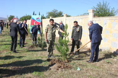 Tovuzda “27 Sentyabr - Anım Günü”nə həsr edilən ağacəkmə aksiyası keçirilib