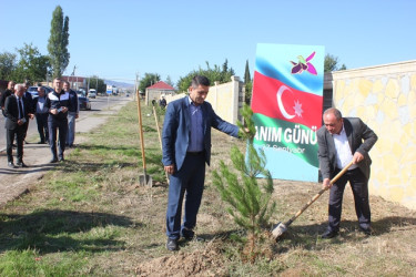 Tovuzda “27 Sentyabr - Anım Günü”nə həsr edilən ağacəkmə aksiyası keçirilib