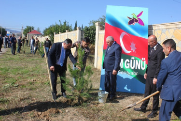Tovuzda “27 Sentyabr - Anım Günü”nə həsr edilən ağacəkmə aksiyası keçirilib