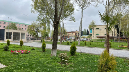 Tovuz şəhəri ərazisində yerləşən  parklarda yenidənqurma işləri aparılır