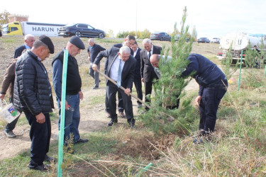 Tovuzda 8 Noyabr–Zəfər Günü ilə əlaqədar ağacəkmə aksiyası keçirilib