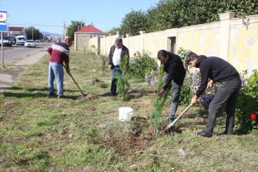 Tovuzda “27 Sentyabr - Anım Günü”nə həsr edilən ağacəkmə aksiyası keçirilib