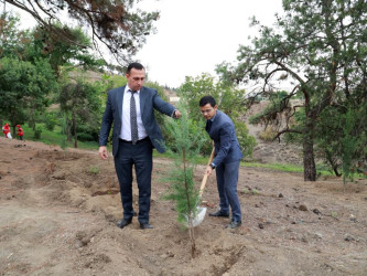 Tovuzda “27 Sentyabr – Anım Günü”nə həsr olunmuş ağacəkmə aksiyası keçirilib