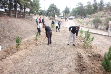 Tovuzda “27 Sentyabr – Anım Günü”nə həsr olunmuş ağacəkmə aksiyası keçirilib