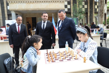 Tovuzda "Konstitusiya və Suverenlik İli" çərçivəsində Ümummilli Lider Heydər Əliyevin 102-ci ildönümünə həsr olunmuş şahmat turniri keçirilib
