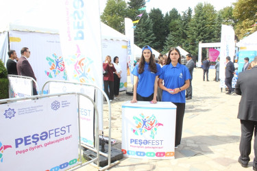 Tovuzda “PeşəFest-2025” festivalı keçirilib