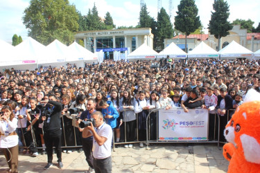 Tovuzda “PeşəFest-2025” festivalı keçirilib