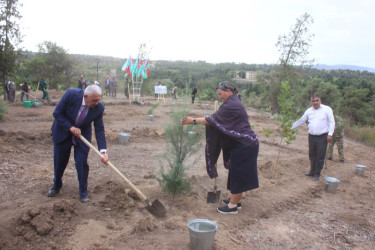 Tovuzda “27 Sentyabr – Anım Günü”nə həsr olunmuş ağacəkmə aksiyası keçirilib