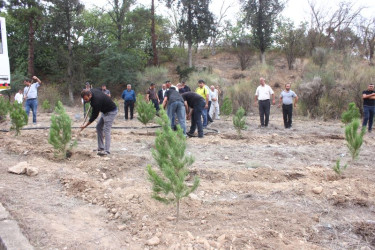Tovuzda “27 Sentyabr – Anım Günü”nə həsr olunmuş ağacəkmə aksiyası keçirilib