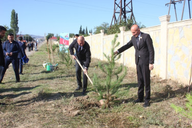 Tovuzda “27 Sentyabr - Anım Günü”nə həsr edilən ağacəkmə aksiyası keçirilib