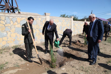 “27 sentyabr Anım Günü” ərəfəsində Tovuzda şəhidlərin xatirəsinə ağacəkmə aksiyası keçirilib