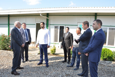 Tovuz Rayon İcra Hakimiyyətinin başçısı meyvəçilik təsərrüfatının inkişaf imkanları ilə tanış olub