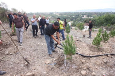 Tovuzda “27 Sentyabr – Anım Günü”nə həsr olunmuş ağacəkmə aksiyası keçirilib