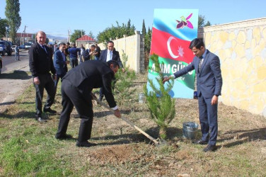 Tovuzda “27 Sentyabr - Anım Günü”nə həsr edilən ağacəkmə aksiyası keçirilib