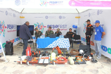 Tovuzda “PeşəFest-2025” festivalı keçirilib