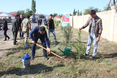 Tovuzda “27 Sentyabr - Anım Günü”nə həsr edilən ağacəkmə aksiyası keçirilib