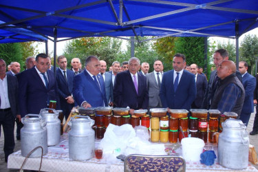 Tovuzda Aqrar Biznes Festivalı və Toxum Sərgi-Satış Yarmarkası keçirilib