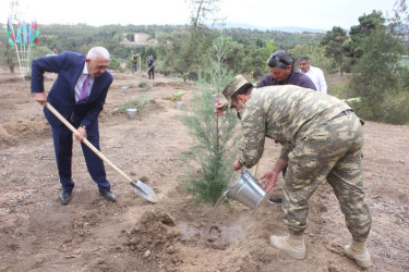 Tovuzda “27 Sentyabr – Anım Günü”nə həsr olunmuş ağacəkmə aksiyası keçirilib