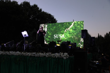 Tovuzda 15 İyun Milli Qurtuluş Gününə həsr olunmuş bayram konserti keçirilib