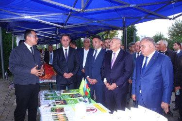 Tovuzda Aqrar Biznes Festivalı və Toxum Sərgi-Satış Yarmarkası keçirilib