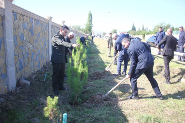 Tovuzda “27 Sentyabr - Anım Günü”nə həsr edilən ağacəkmə aksiyası keçirilib
