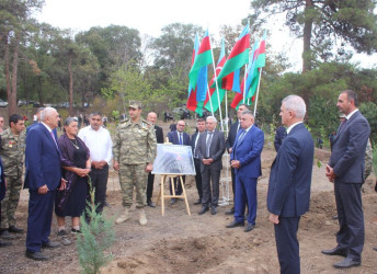Tovuzda “27 Sentyabr – Anım Günü”nə həsr olunmuş ağacəkmə aksiyası keçirilib