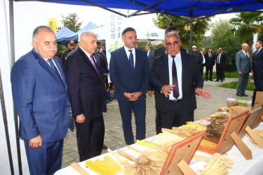 Tovuzda Aqrar Biznes Festivalı və Toxum Sərgi-Satış Yarmarkası keçirilib