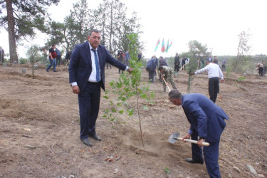 Tovuzda “27 Sentyabr – Anım Günü”nə həsr olunmuş ağacəkmə aksiyası keçirilib