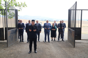 Tovuz Rayon İcra Hakimiyyəti başçısı şəhid ailələrini ziyarət edib