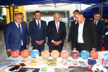 Tovuzda Aqrar Biznes Festivalı və Toxum Sərgi-Satış Yarmarkası keçirilib