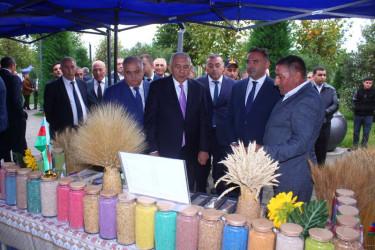 Tovuzda Aqrar Biznes Festivalı və Toxum Sərgi-Satış Yarmarkası keçirilib