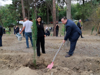 Tovuzda “27 Sentyabr – Anım Günü”nə həsr olunmuş ağacəkmə aksiyası keçirilib