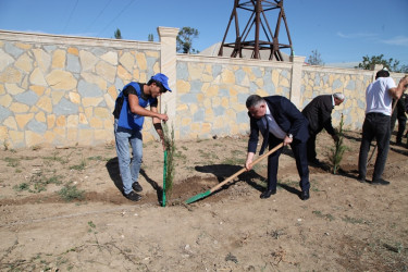 “27 sentyabr Anım Günü” ərəfəsində Tovuzda şəhidlərin xatirəsinə ağacəkmə aksiyası keçirilib