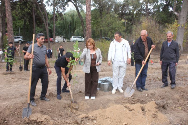 Tovuzda “27 Sentyabr – Anım Günü”nə həsr olunmuş ağacəkmə aksiyası keçirilib