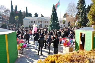 Tovuzda 31 dekabr - Dünya Azərbaycanlılarının Həmrəyliyi günü və Yeni il münasibətilə bayram konserti keçirilib.  
