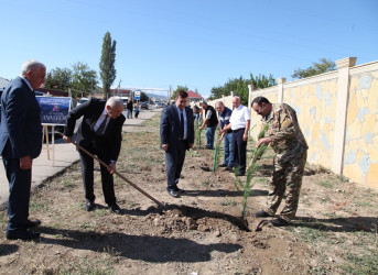 “27 sentyabr Anım Günü” ərəfəsində Tovuzda şəhidlərin xatirəsinə ağacəkmə aksiyası keçirilib