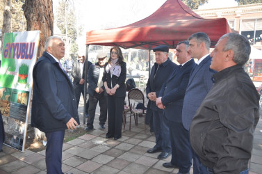 Tovuzda Novruz bayramı təntənə ilə qeyd edilib