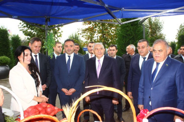 Tovuzda Aqrar Biznes Festivalı və Toxum Sərgi-Satış Yarmarkası keçirilib