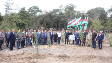 Tovuzda “27 Sentyabr – Anım Günü”nə həsr olunmuş ağacəkmə aksiyası keçirilib
