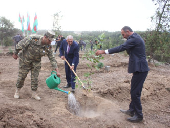 Tovuzda “27 Sentyabr – Anım Günü”nə həsr olunmuş ağacəkmə aksiyası keçirilib