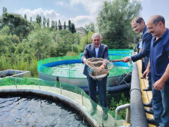 Tovuz Rayon İcra Hakimiyyətinin başçısı balıqçılıq təsərrüfatının inkişaf imkanları ilə tanış olub