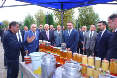 Tovuzda Aqrar Biznes Festivalı və Toxum Sərgi-Satış Yarmarkası keçirilib