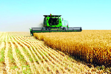 Respublika qəzeti: Taxıl biçini davam etdirilir