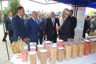Tovuzda Aqrar Biznes Festivalı və Toxum Sərgi-Satış Yarmarkası keçirilib