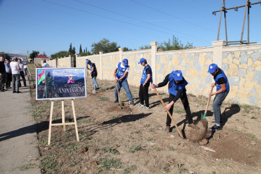 “27 sentyabr Anım Günü” ərəfəsində Tovuzda şəhidlərin xatirəsinə ağacəkmə aksiyası keçirilib