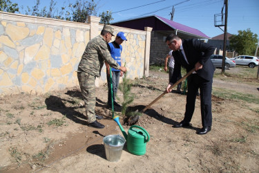 “27 sentyabr Anım Günü” ərəfəsində Tovuzda şəhidlərin xatirəsinə ağacəkmə aksiyası keçirilib